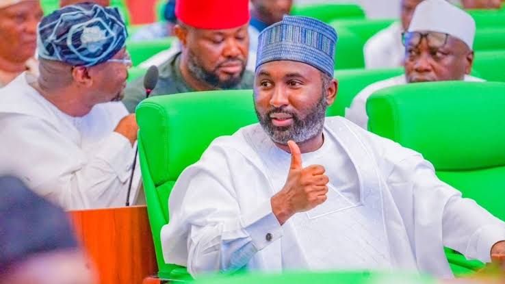 2024 Appropriation Bill As Acid Test For Bichi